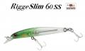 Zipbaits Rigge Slim 60SS 