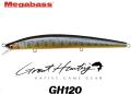 Megabass GH120