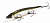 Воблер Megabass Ito-Shiner m stardust shad ob