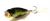 Воблер Megabass Pop Max pm bass