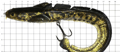 Силиконовая приманка Savage Gear 3D Burbot Fast Singing 25cm 75gr Firetiger FS