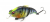 Воблер Megabass Vibration-X Vatalion SS gg wild gill jr Воблер Megabass Vibration-X Vatalion SS gg wild gill jr