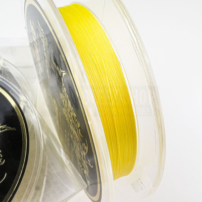 Шнур Squid Mania Salty Brave x4 100m PE 0.1/0.052mm/ 2kg