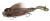 Приманка CWC Miuras Mouse Big 11-MMВ-015 (95gr) Baby Brown