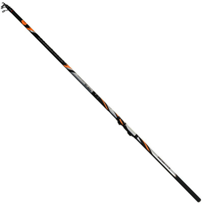 Болонская удочка с кольцами DAYO Thunder 10-30gr 6m