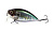 Воблер Megabass Over Rev Crank Burning Shad Wagin Hasu Bs