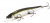 Воблер Megabass Ito-Shiner m stardust shad ob