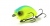 Воблер Yo-Zuri/Duel Dino Crank SD MBCL