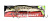 Воблер DUO REALIS JERKBAIT 100SP Pike Limited CCC3815