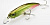 Воблер DUO Realis Fangbait 140SR AFA3333